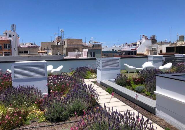Apartament Zen Garden Las Palmas de Gran Canaria Zewnętrze zdjęcie
